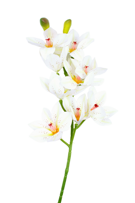 Pieza de vara de orquidea cymbidium artificial en colores varios perfecta para decoracion u ornamento