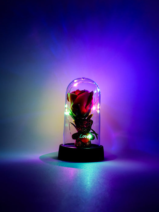 Rosa eterna y osito adorable en cupula con luz led en colores varios ideal para obsequiar