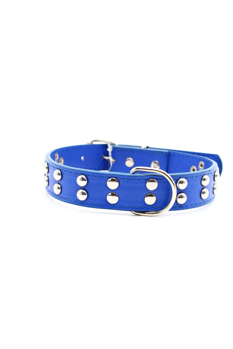 Collar para mascotas con puntos dobles metálicos en colores varios