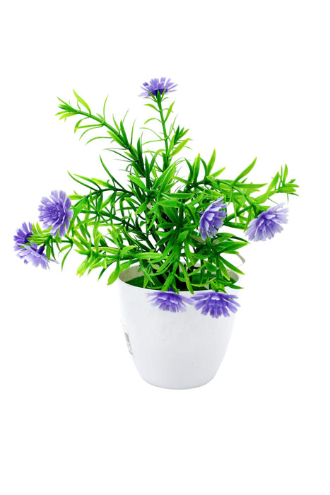 Flor eterna de Scabiosa en maceta para decoracion del hogar en colores varios