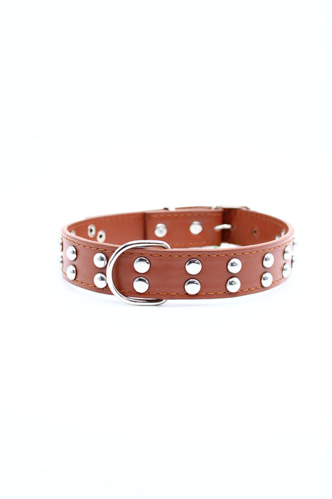 Collar para mascotas con puntos dobles metálicos en colores varios