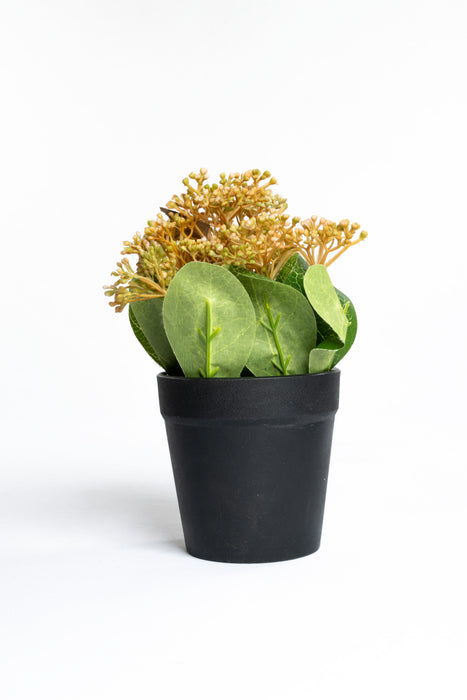 Planta skimmia artificial decorativa con maceta en colores varios