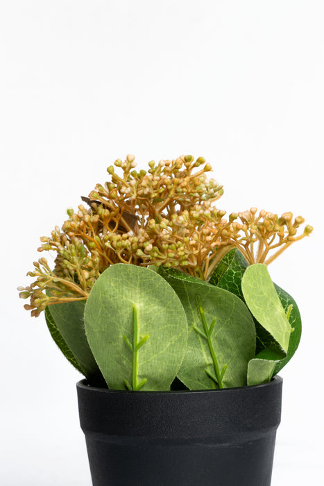 Planta skimmia artificial decorativa con maceta en colores varios