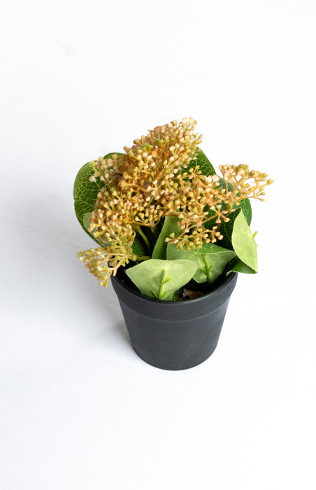 Planta skimmia artificial decorativa con maceta en colores varios