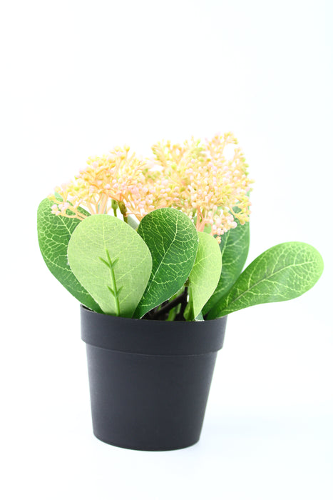 Planta skimmia artificial decorativa con maceta en colores varios