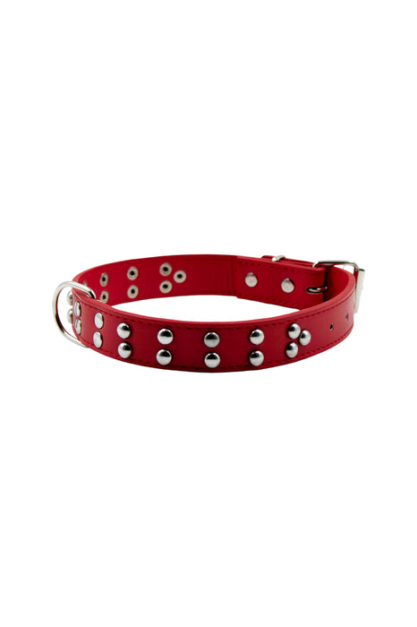 Collar para mascotas con puntos dobles metálicos en colores varios