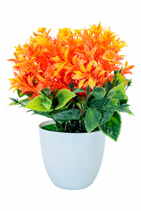 Planta decorativa con flores y maceta  para aportar color y frescura a tu espacio colores varios